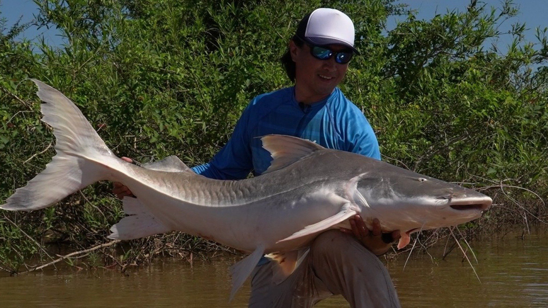 Biopesca