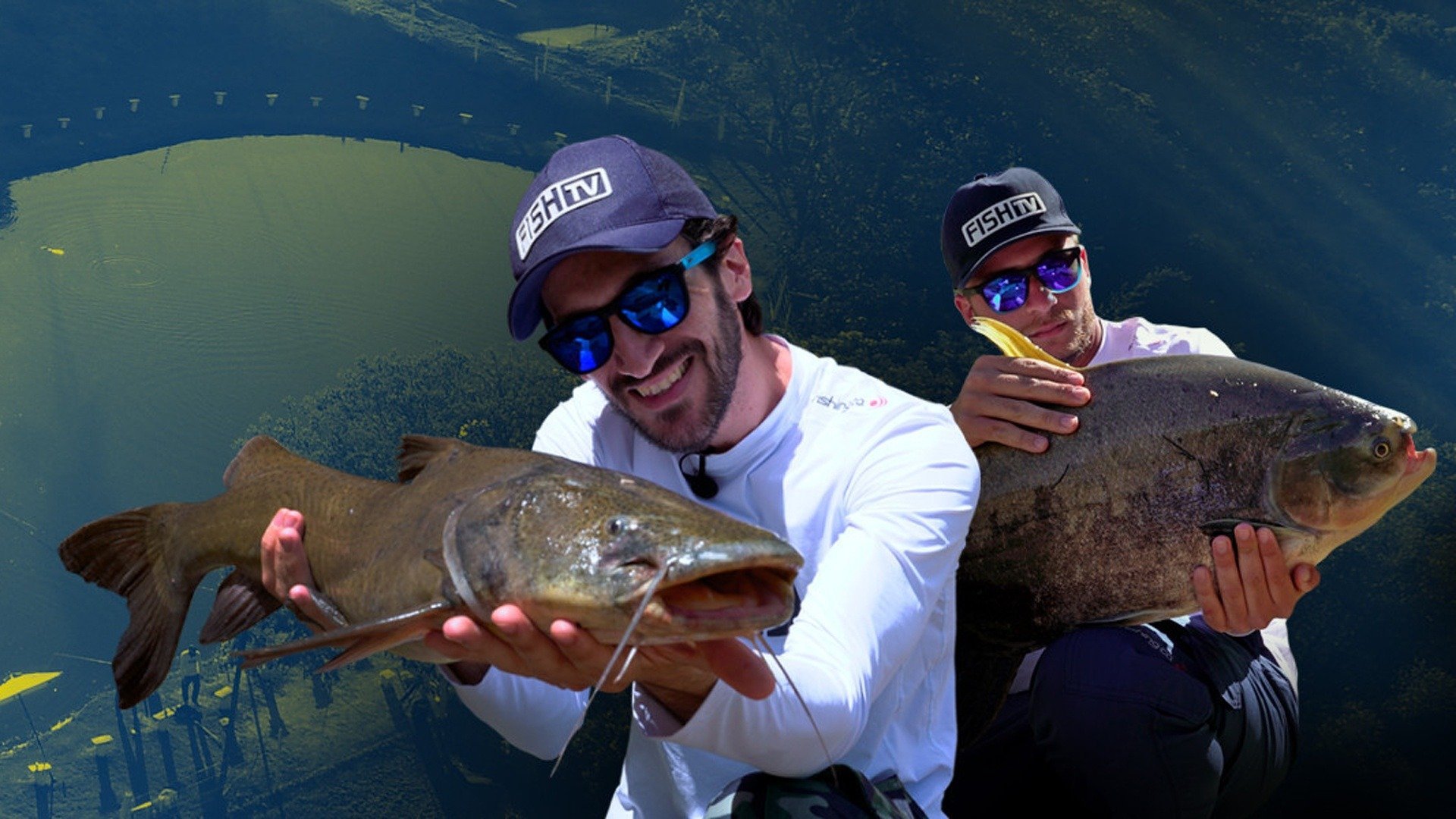Pesqueiros do Brasil : As Boas Brigas com os Belos Peixes...