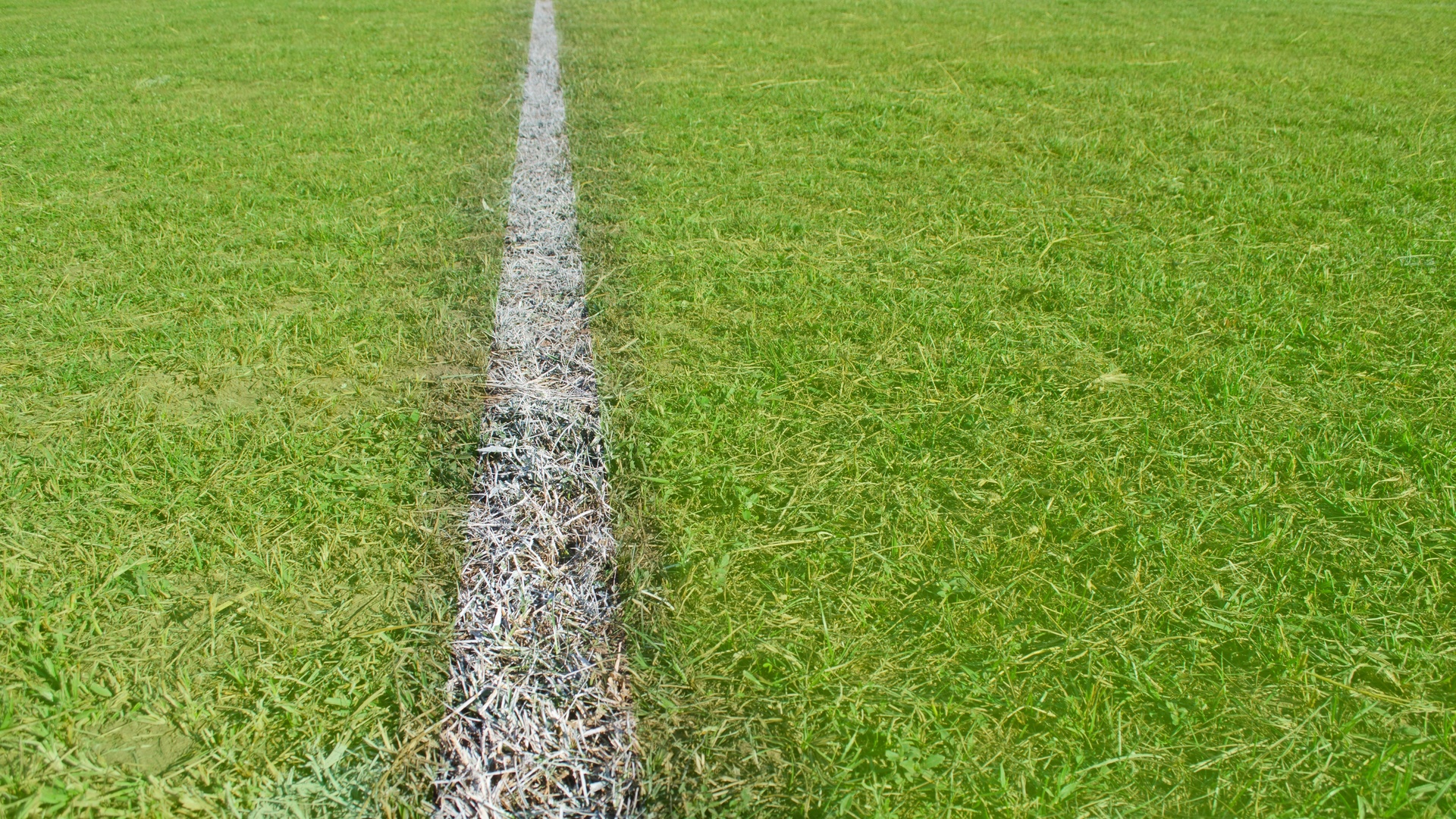 Aquecimento SporTV : Fórmula 1