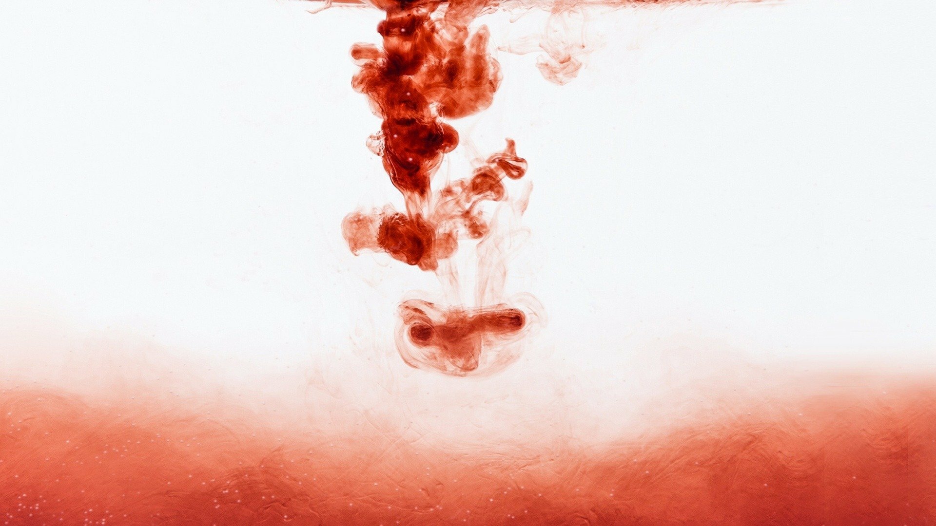 Cara a Cara com as Feras - Ataques de Tubarões 2