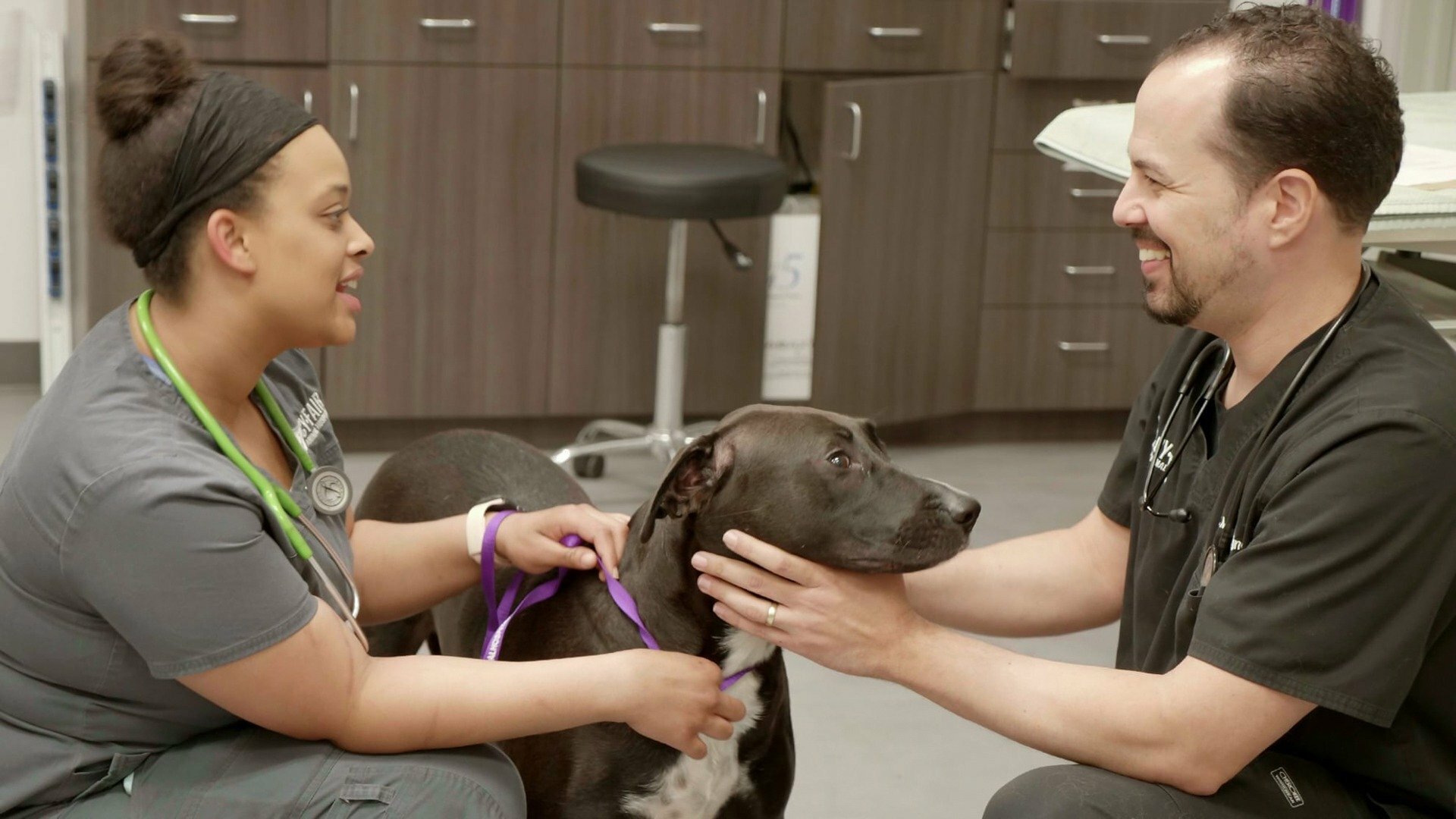 Veterinários do Texas : Visita de Médico