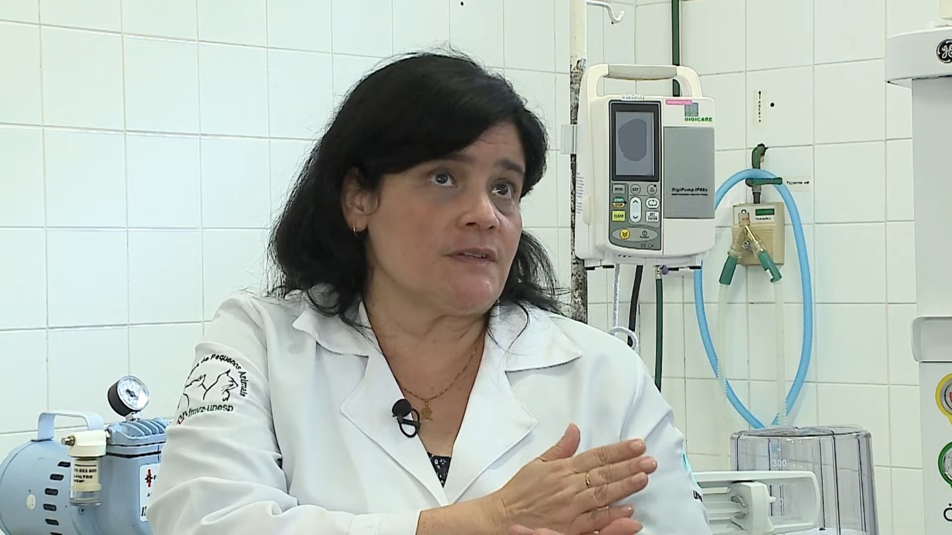 Ciência sem Limites : Neonatologia em Pets