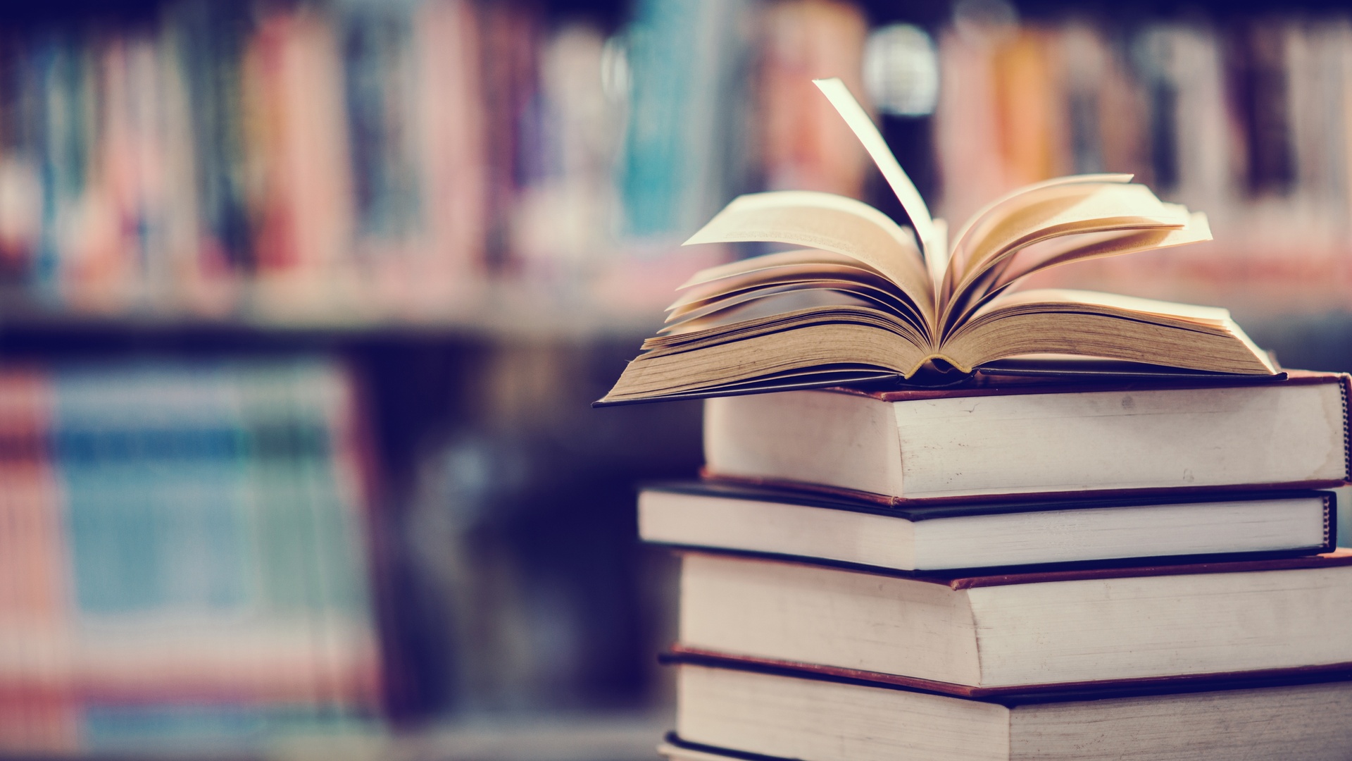 Educando para a Diversidade