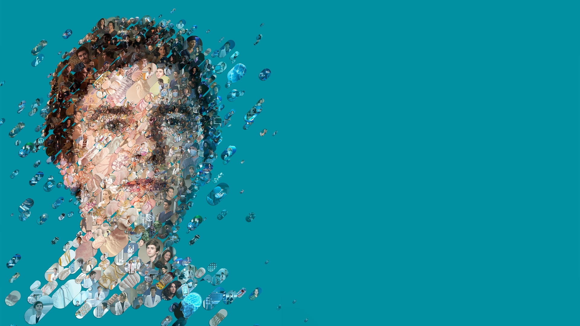 The Good Doctor: O Bom Doutor