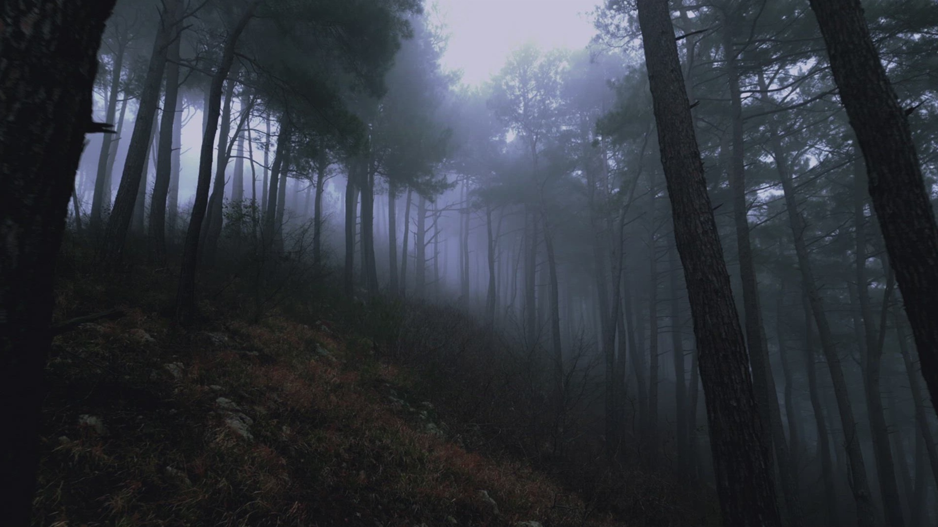 Grandes Mistérios da História com Laurence Fishburne : O Incidente da Floresta de Rendlesham