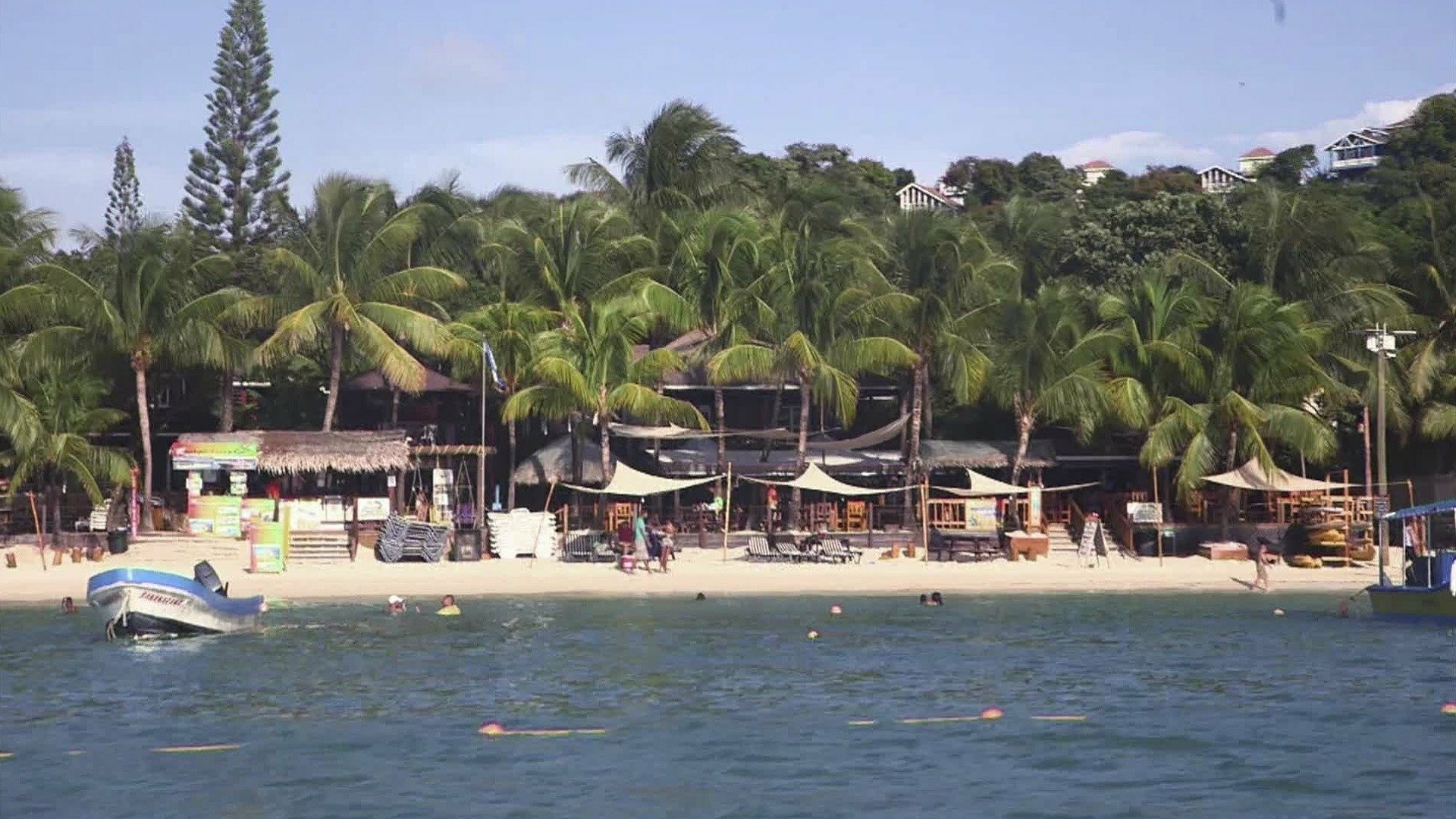 Vida na Praia : Inovadores