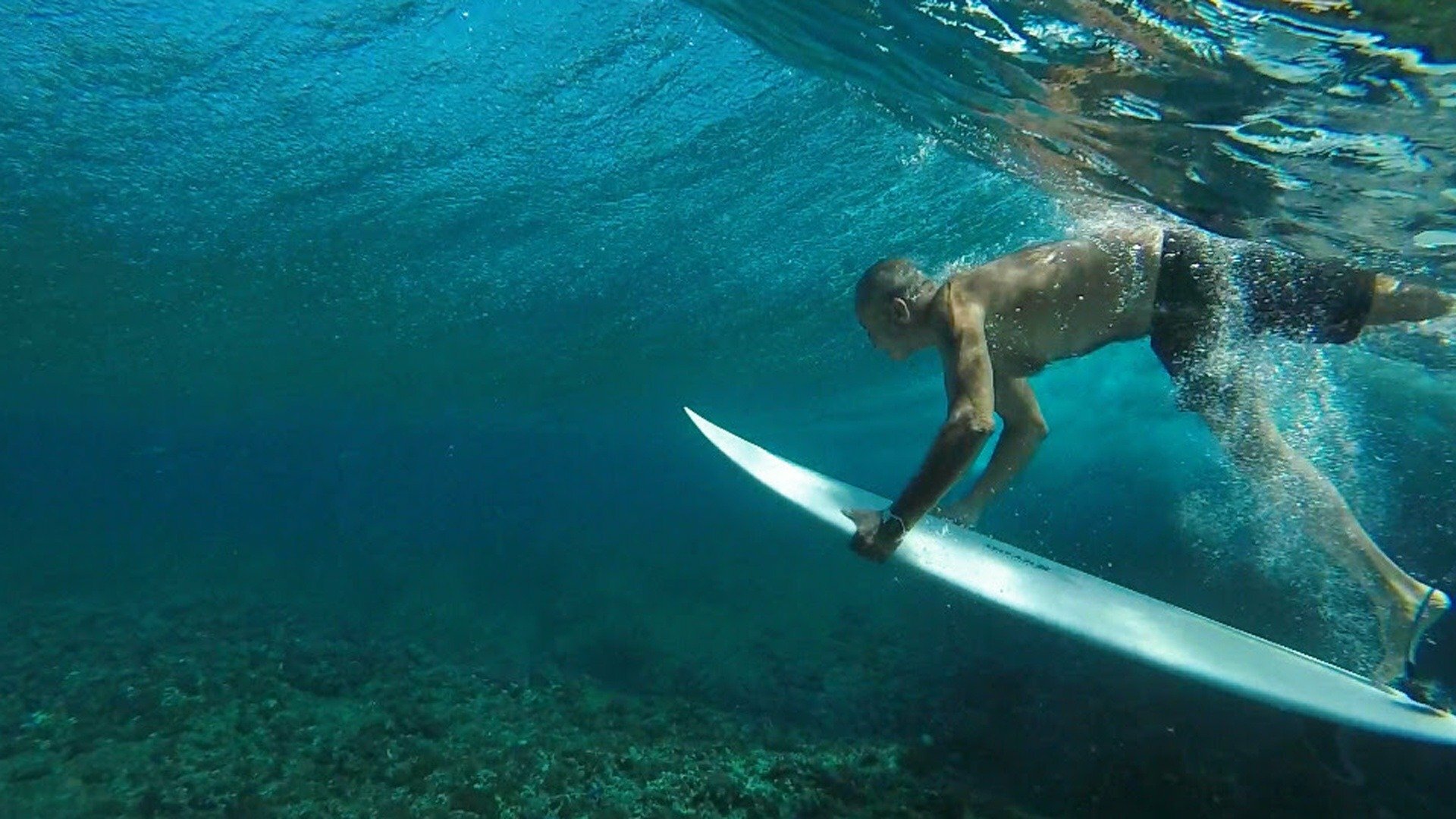 Lendas em Fiji : Dia de Foil e Terra Firme