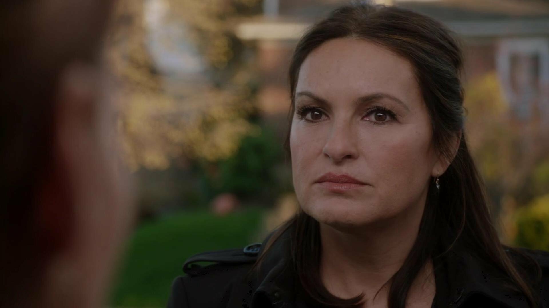 Law & Order: Special Victims Unit : Vidas Cruzadas