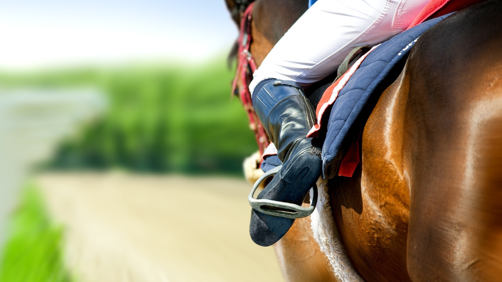 Hipismo - CHIO Aachen : CHIO Aachen