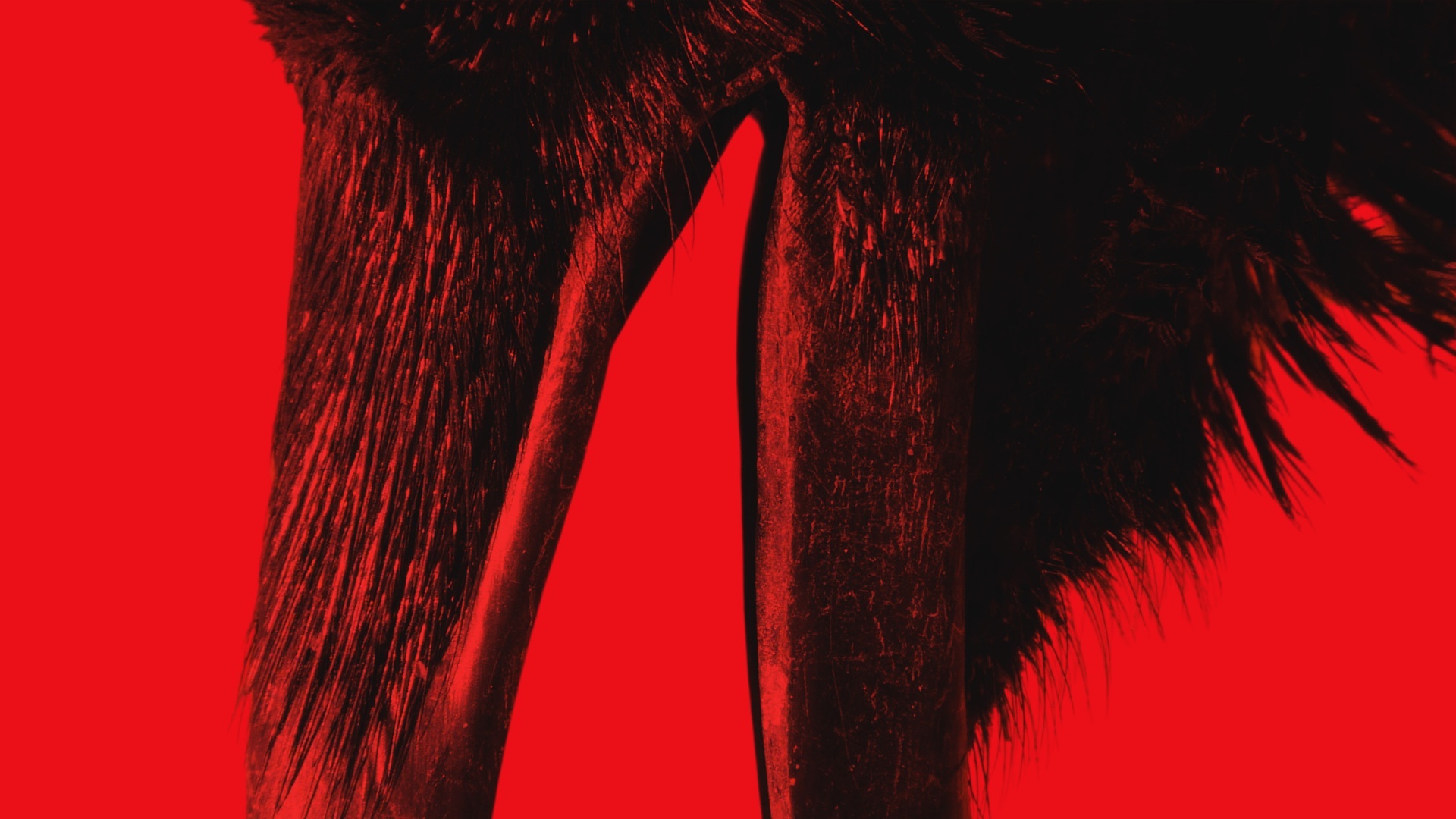 Harpía - Presença Maligna