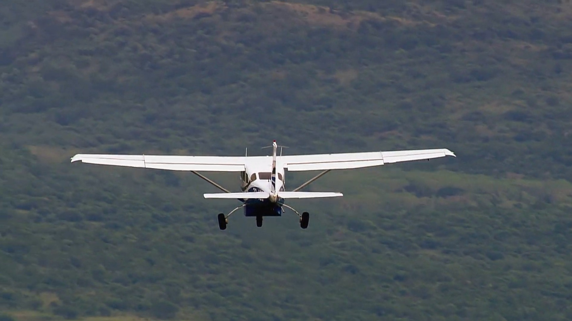 Casos Chocantes da História : Pítons no Teto, Fuga pelo Túnel...