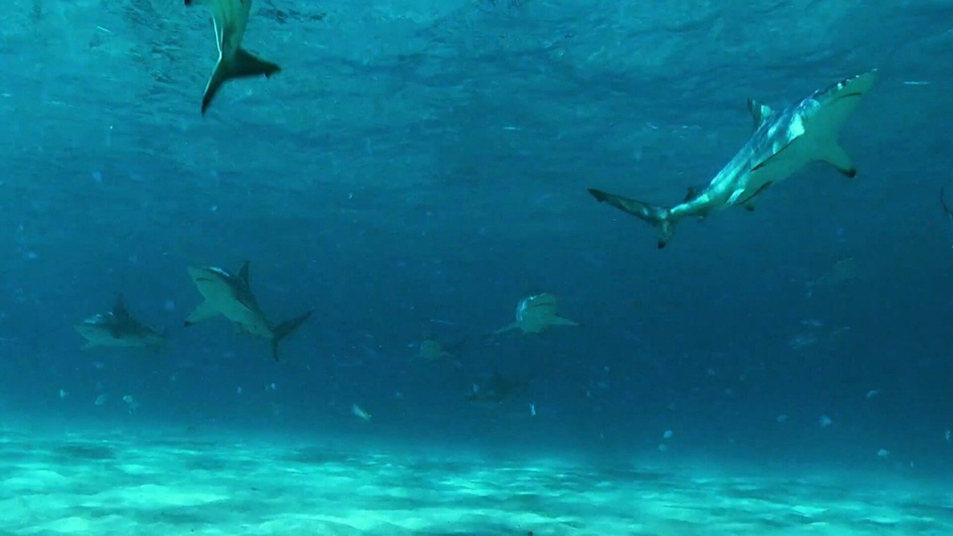 América do Norte : A Última Fronteira