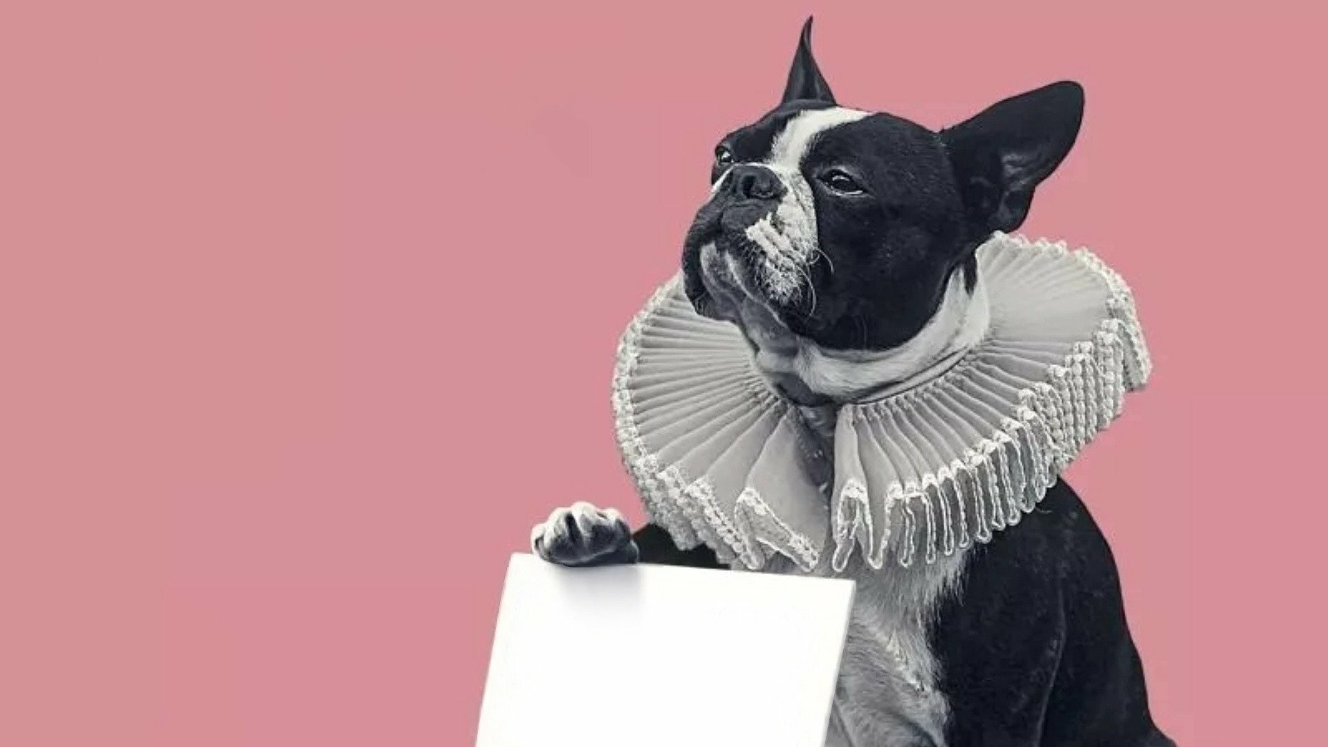 Orlando, Minha Biografia Política