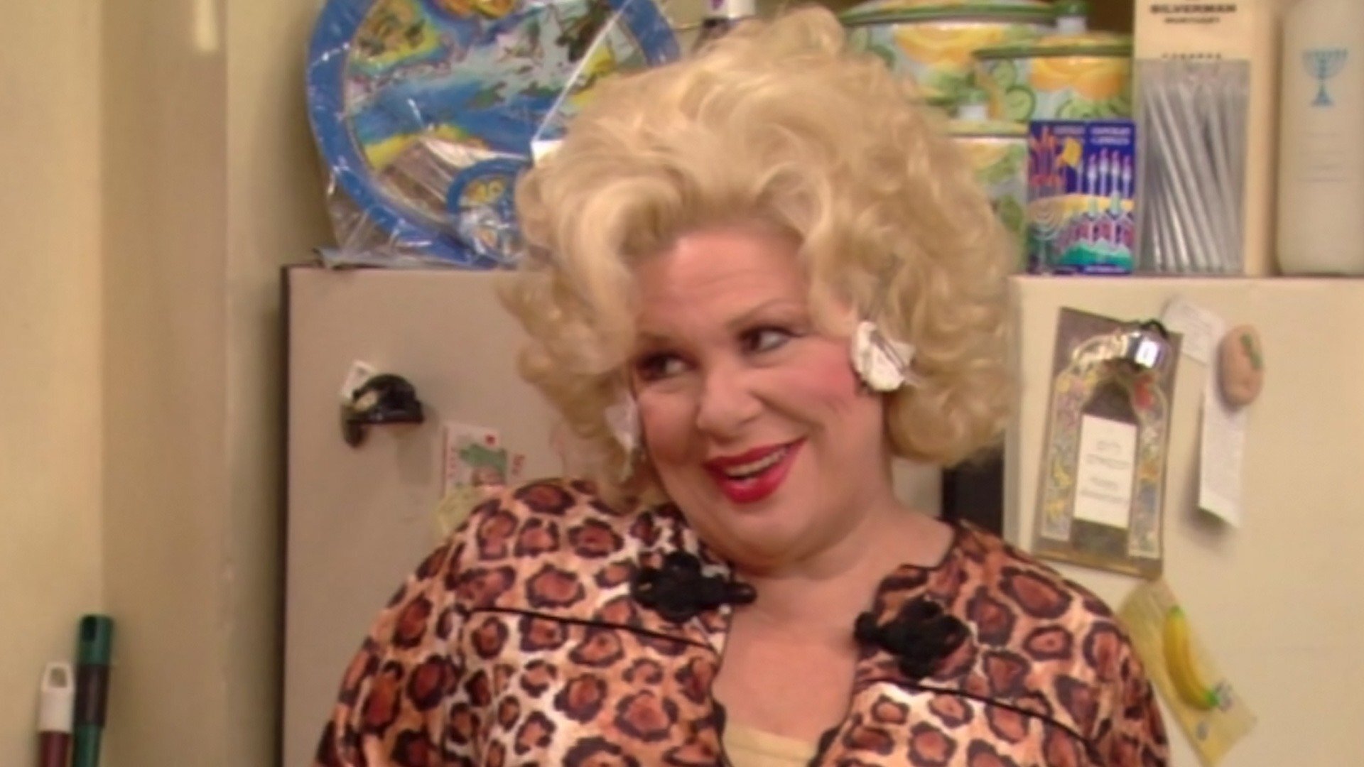 The Nanny : Call Me Fran