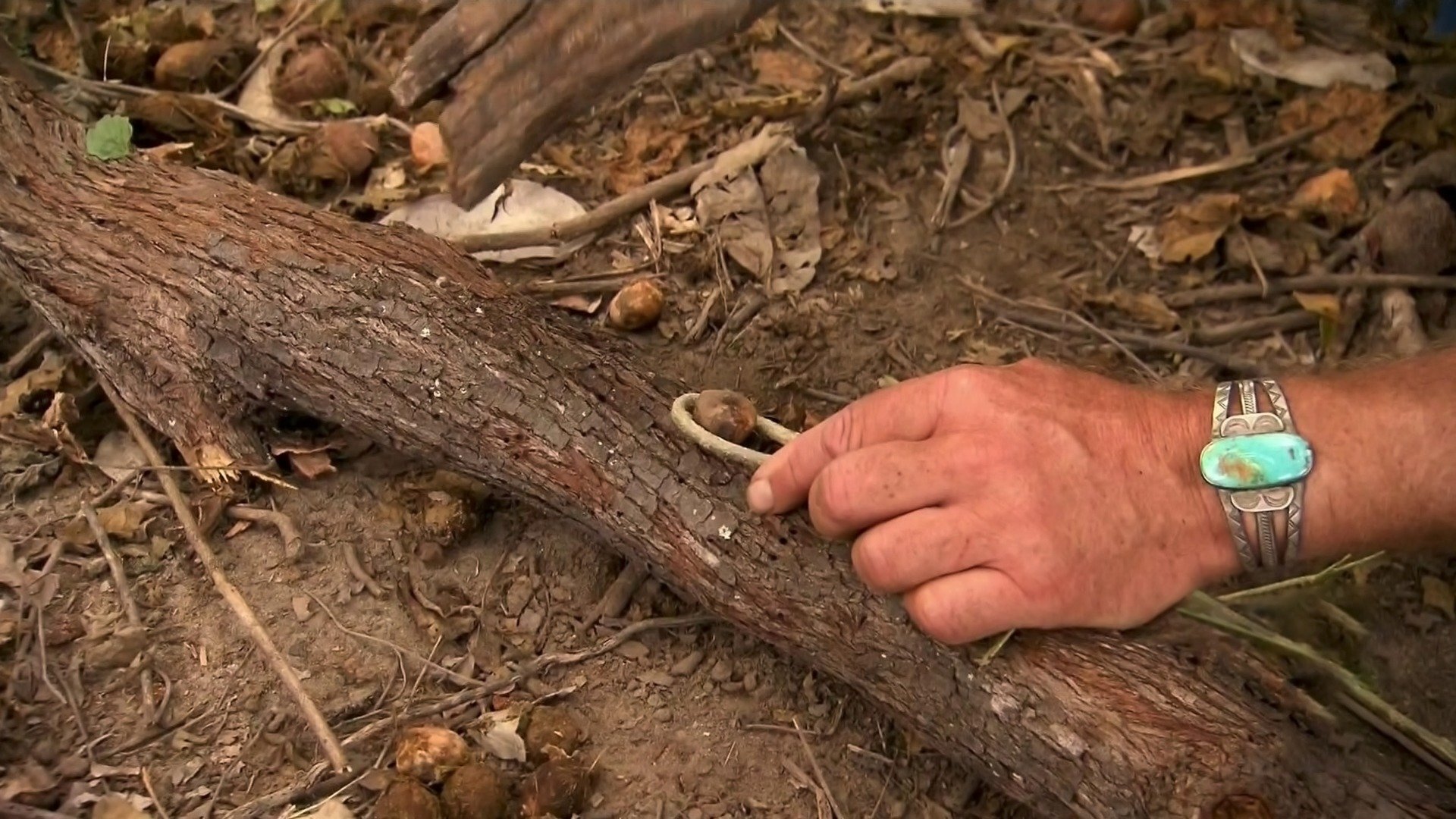 Desafio em Dose Dupla : Ilha de Hipopótamos