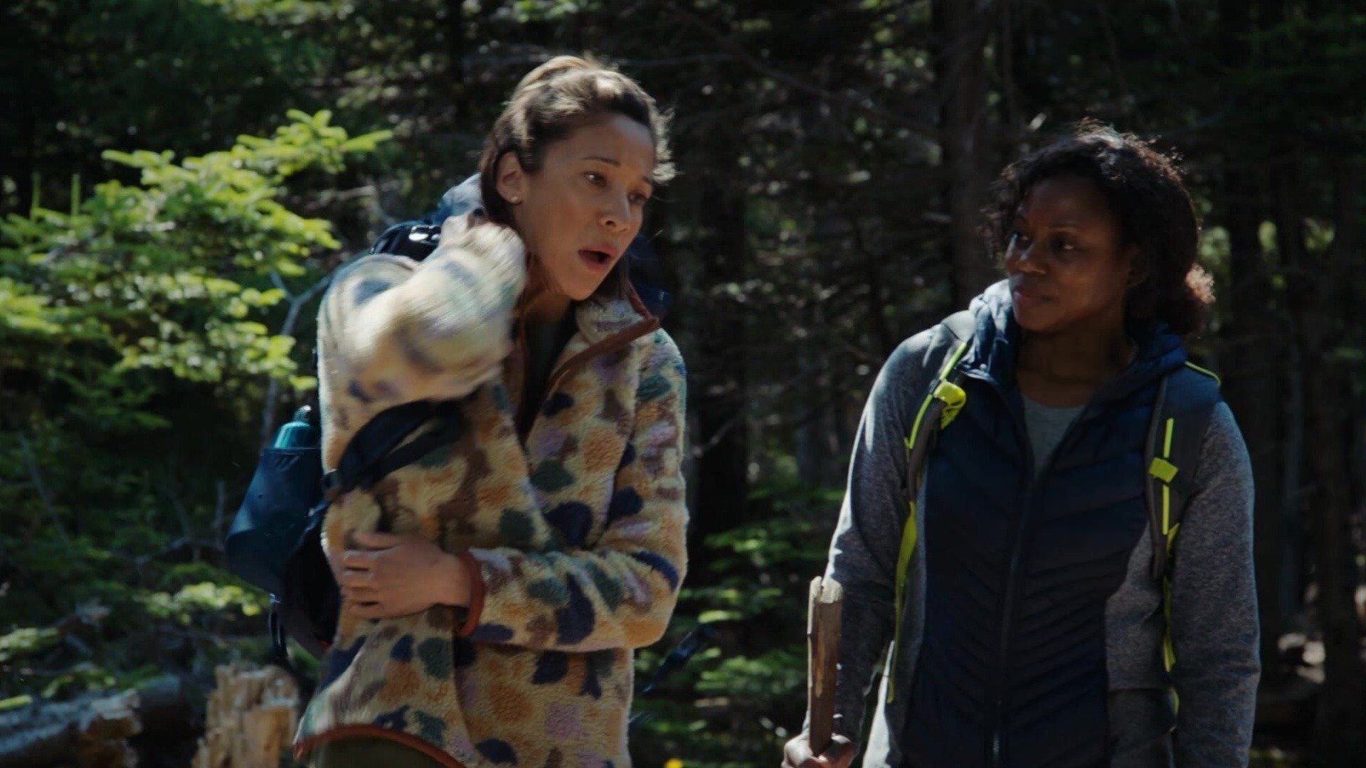 Hudson & Rex : Leader of the Pack