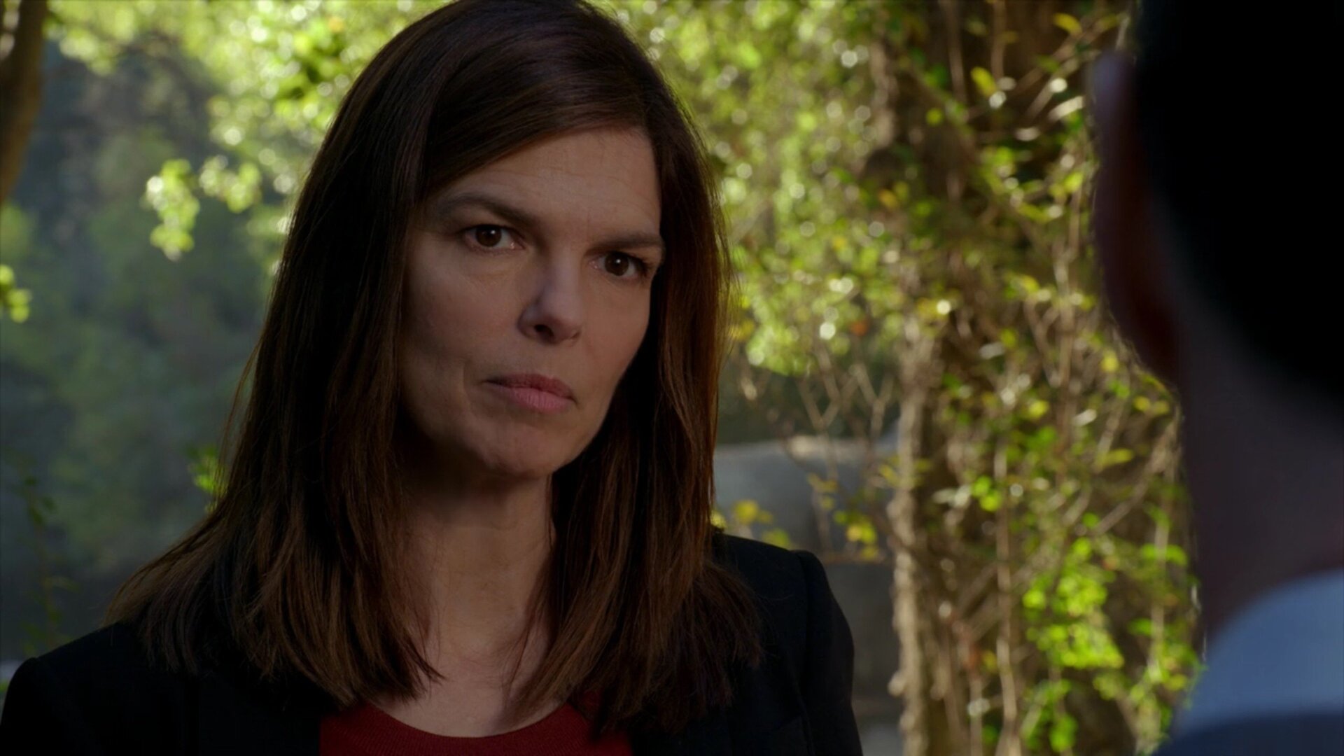 Criminal Minds : Perennials