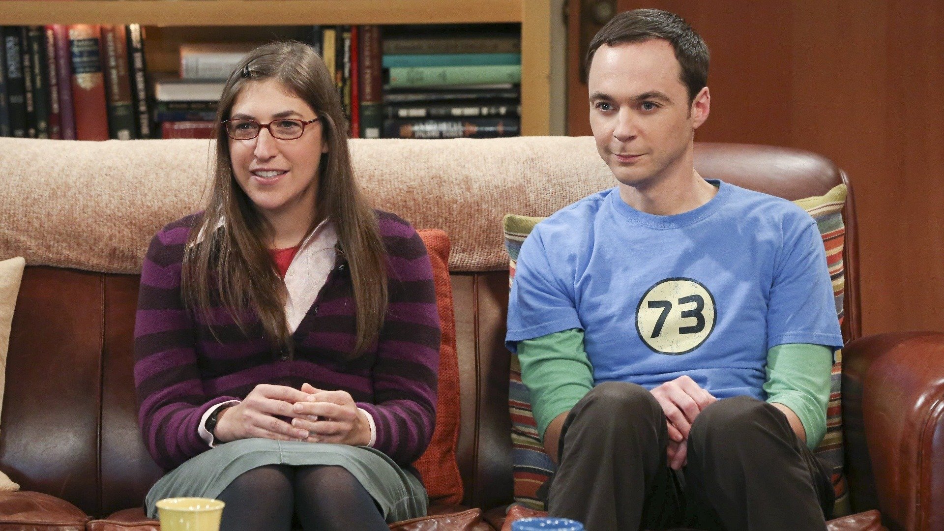The Big Bang Theory : The Raiders Minimization