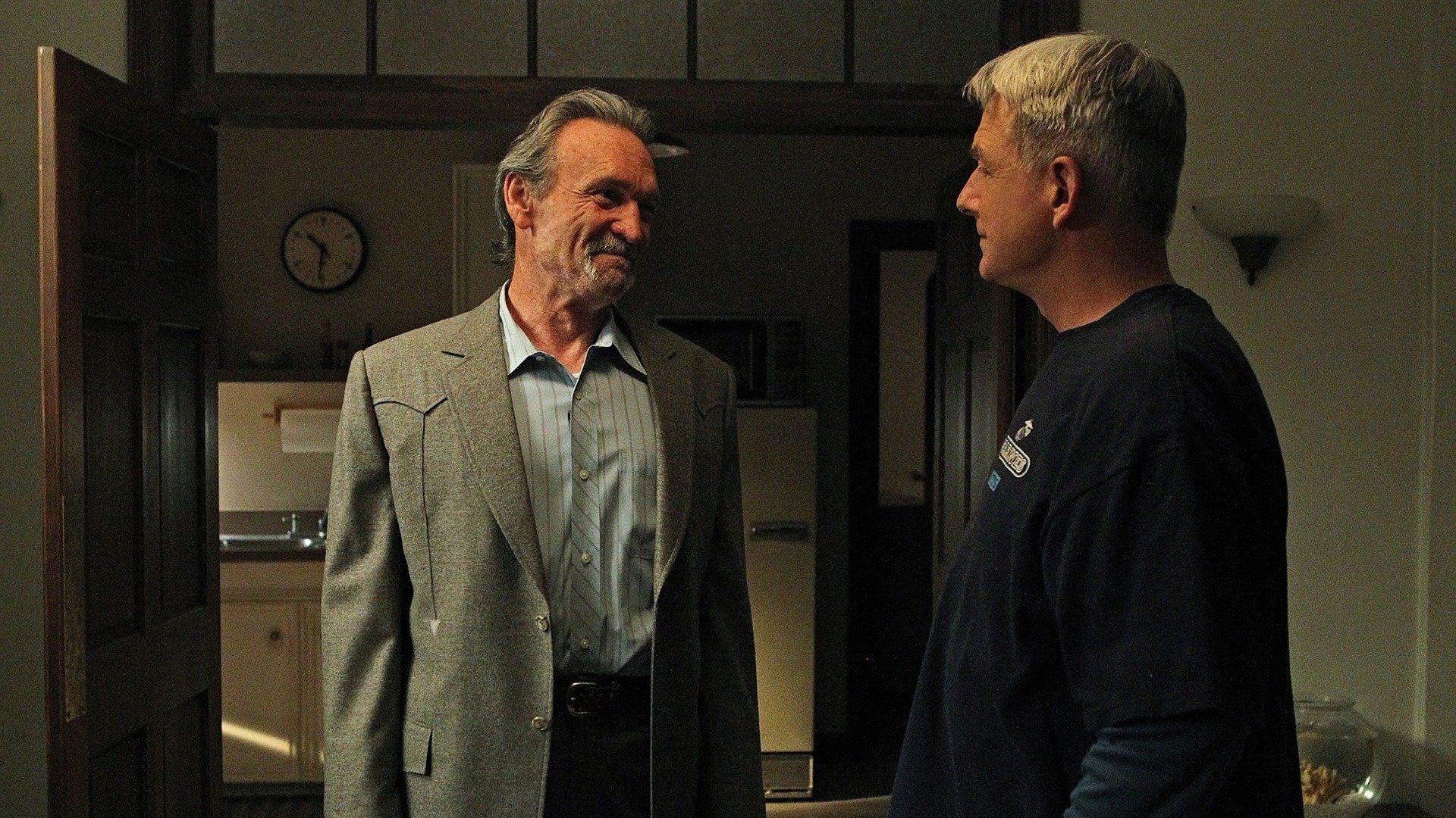 NCIS : Spider and the Fly