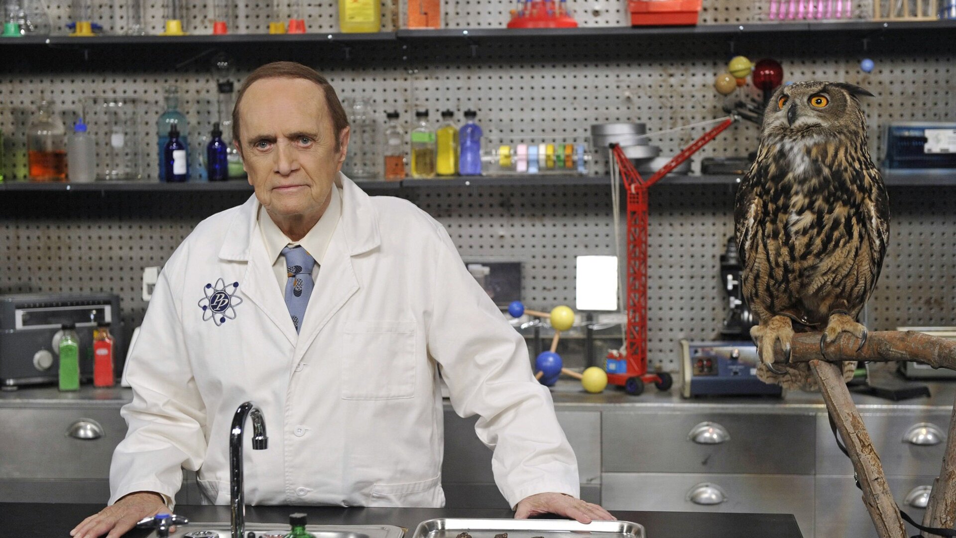 The Big Bang Theory : The Proton Transmogrification