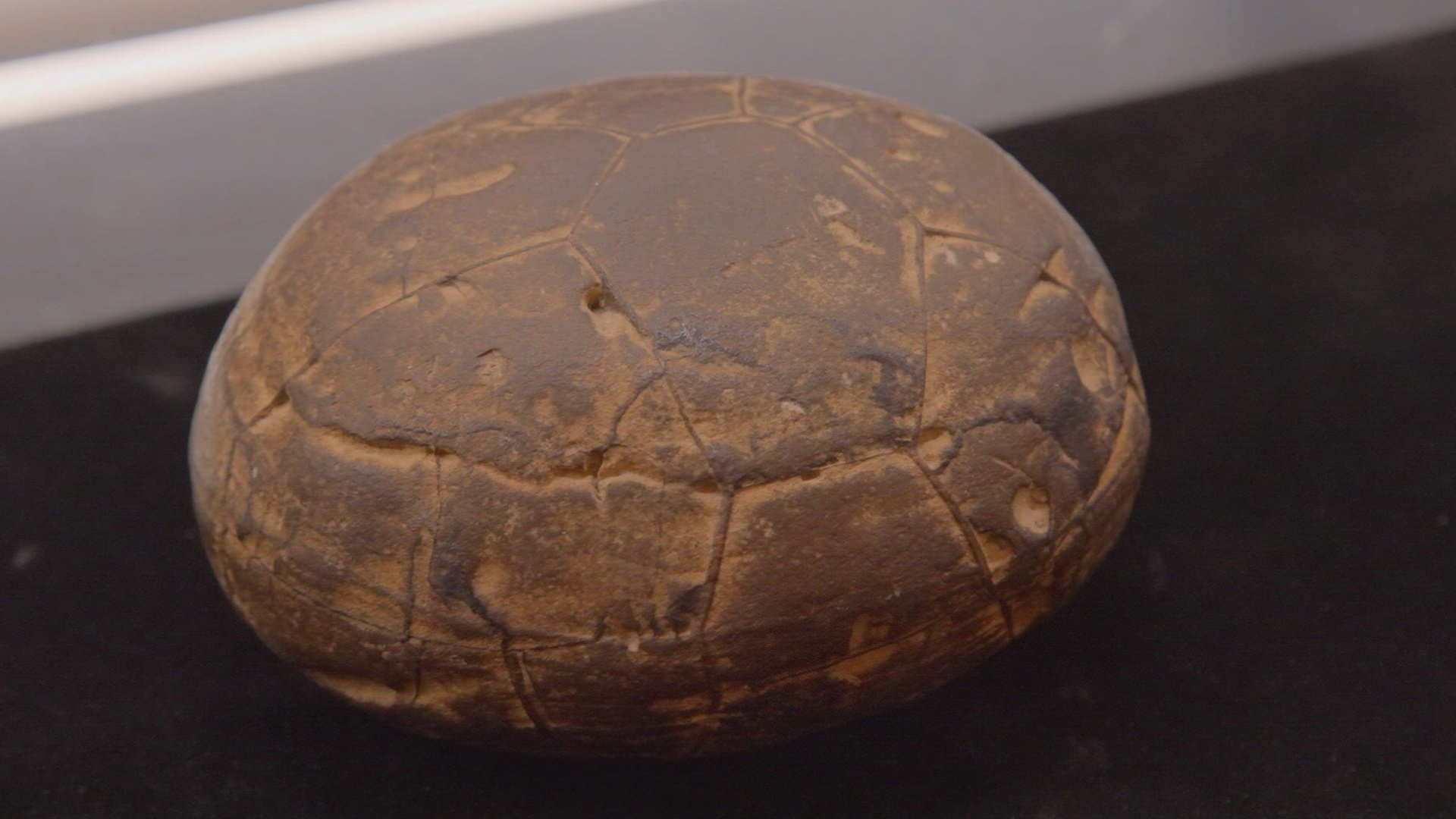 Trato Feito : De Volta ao Passado - Elvis, Petróleo e Tyson