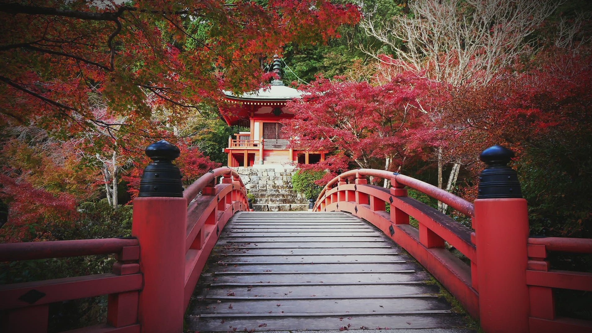 Maravilhas Sagradas com Dennis Quaid : Olho por Olho