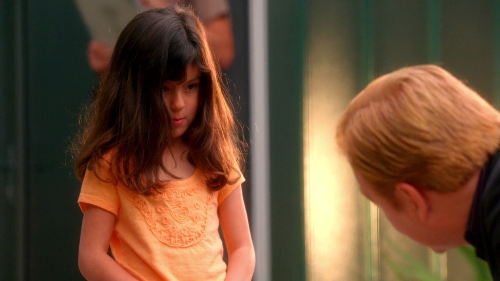 CSI: Miami : All Fall Down