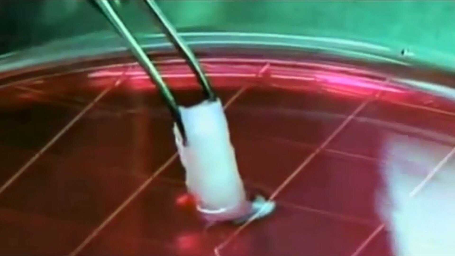 Popular Science: Futuro : Imortalidade