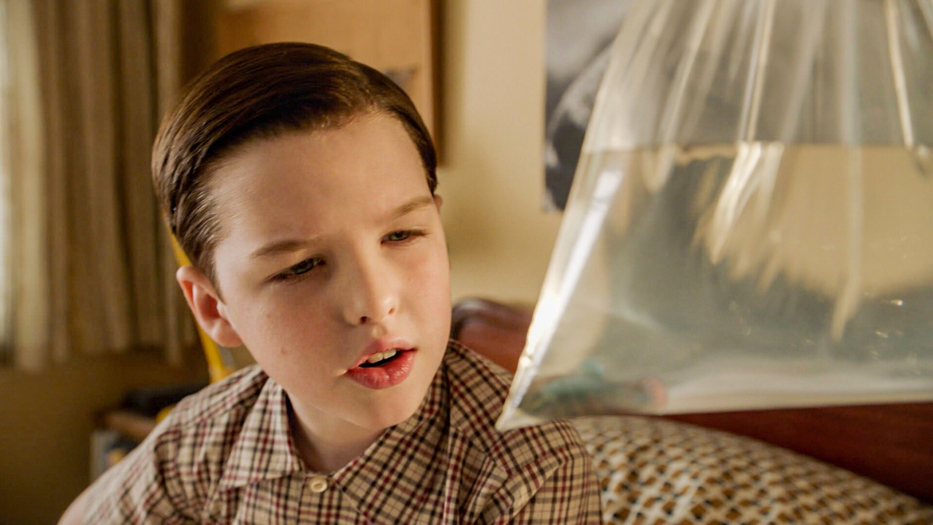 Young Sheldon : A Dog, a Squirrel, and a Fish Named Fish