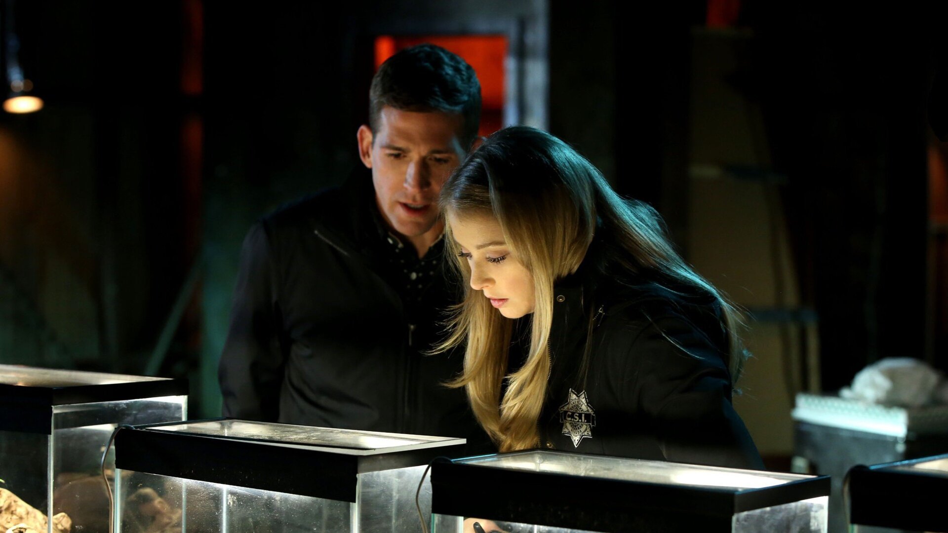 CSI : Under My Skin
