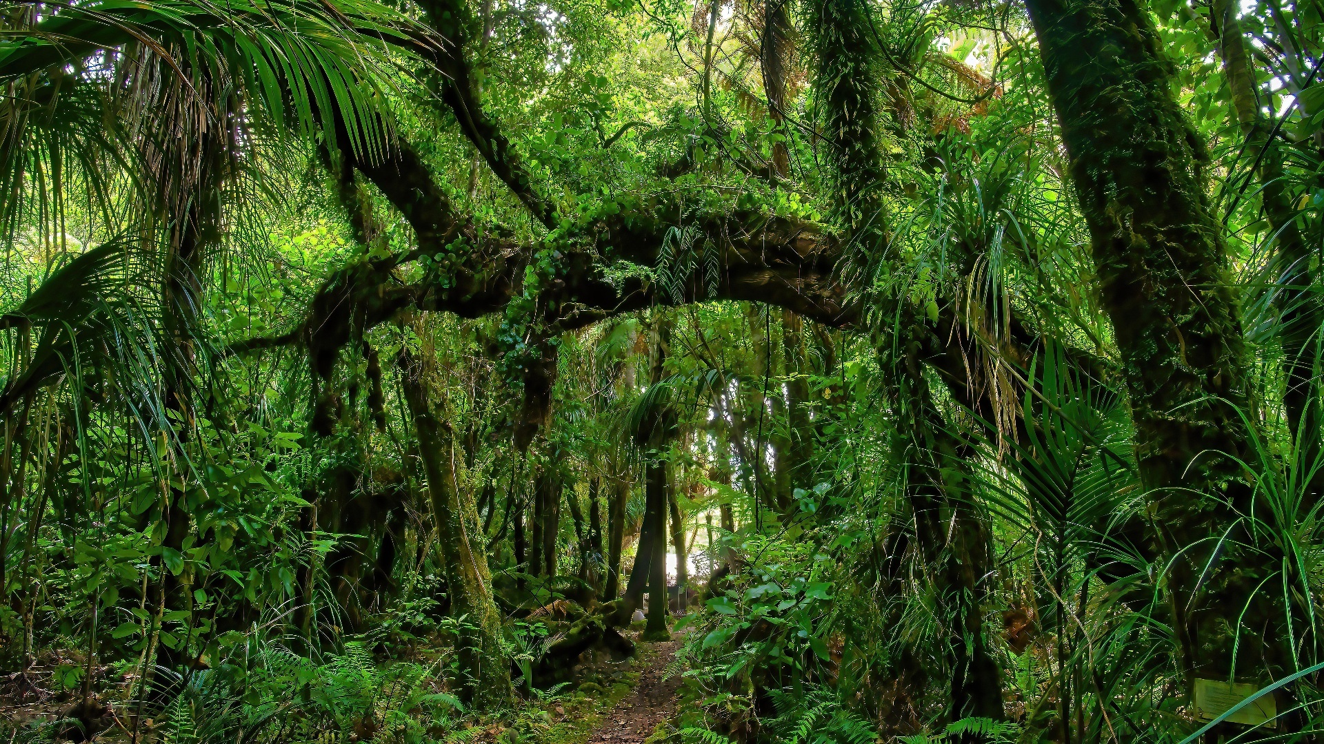 Natureza Extrema : Mundos que Derretem
