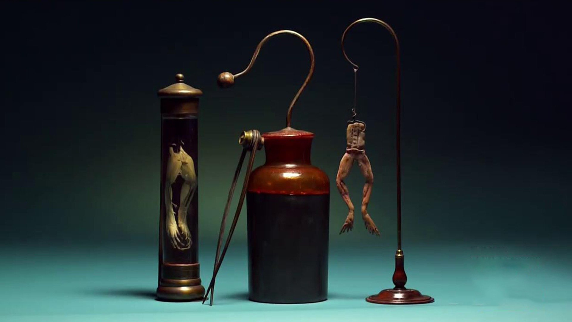 Mistérios no Museu : Bala do Cupido, O Homem que...