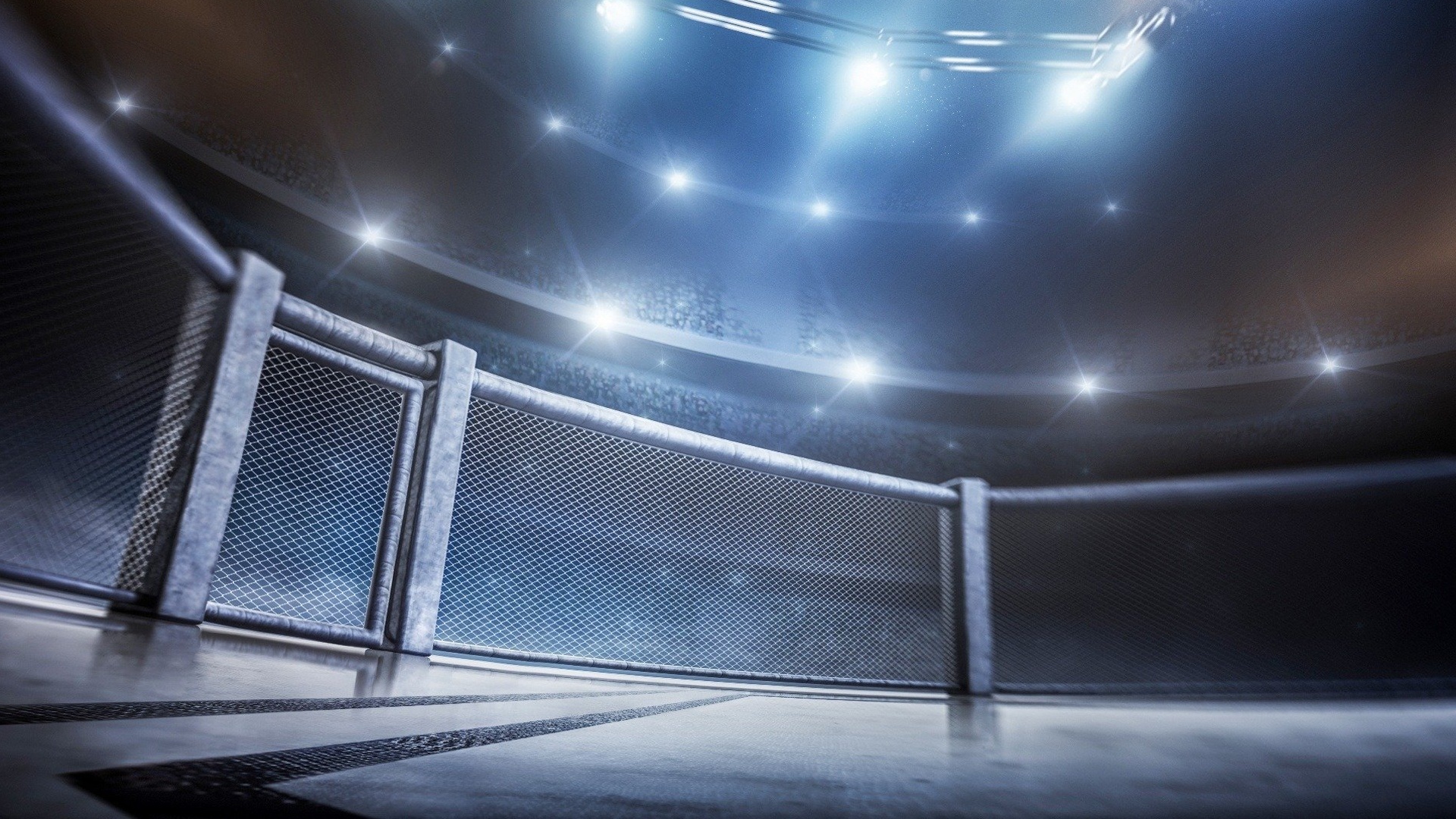 UFC BJJ 8