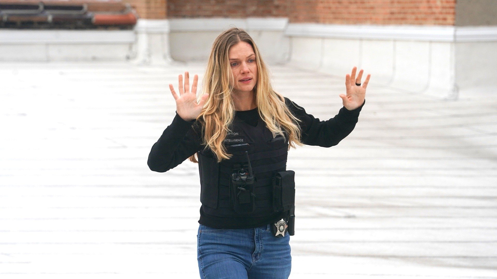 Chicago P.D. : Nuvem Rosa