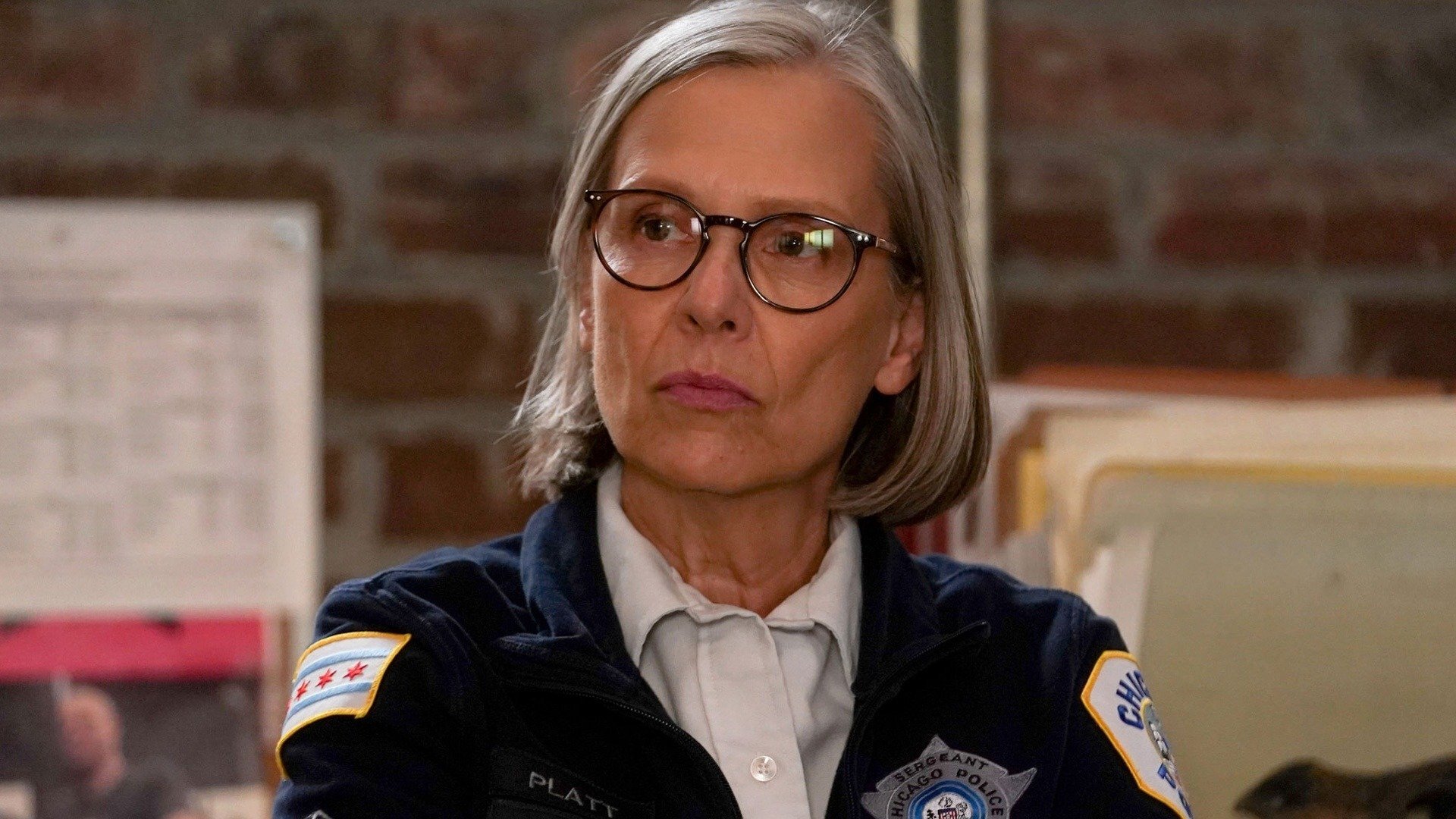 Chicago P.D. : Nas Profundezas