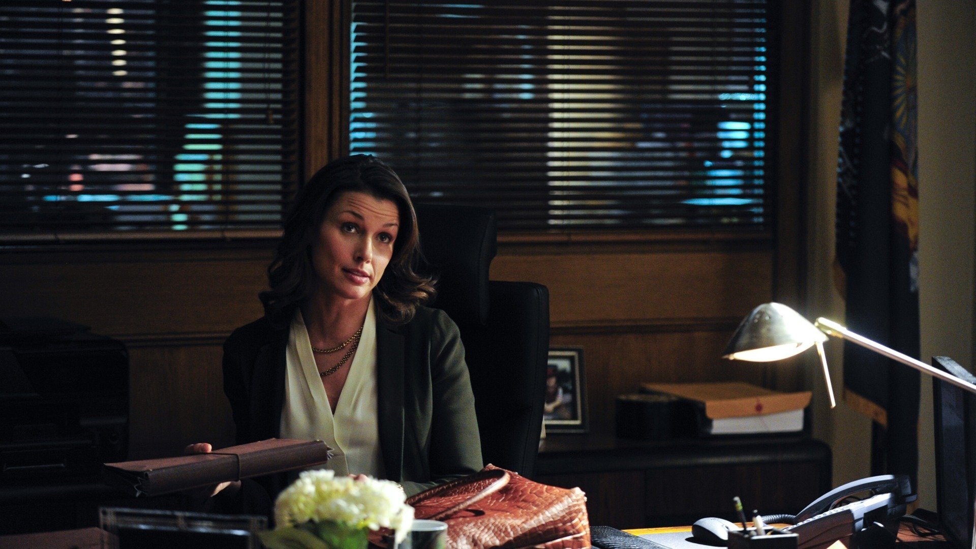 Blue Bloods : Lutas pela Custódia