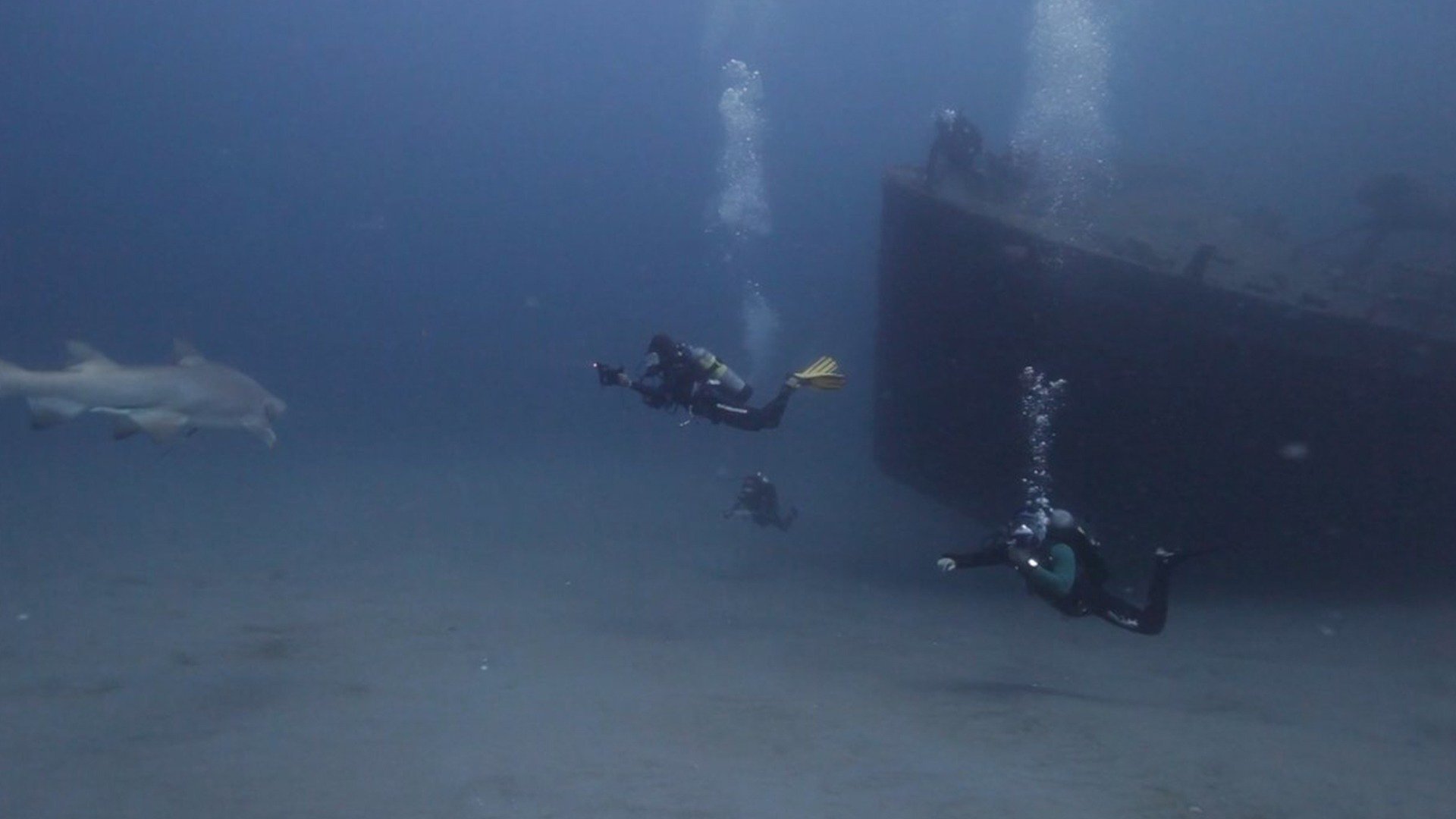 Naufrágios : USS Aeolus, Cargueiro de 120 Metros