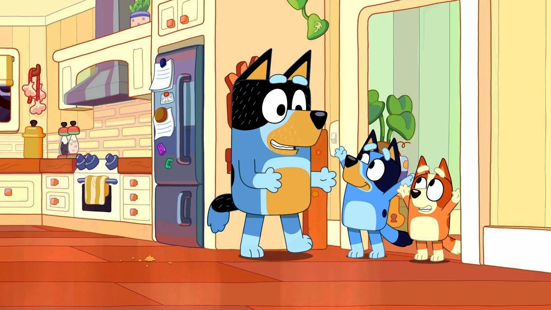 Bluey : Passarinho; Apresentação