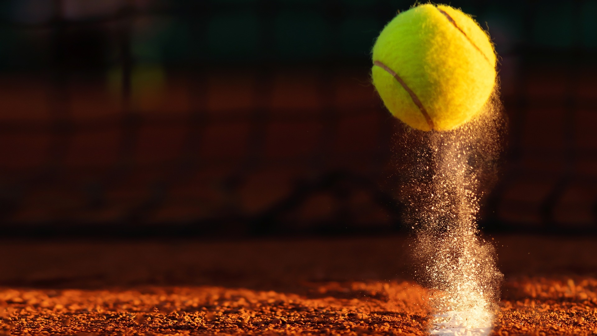 Torneio de Roland Garros 2026 - Quartas de Final : Quartas de Final