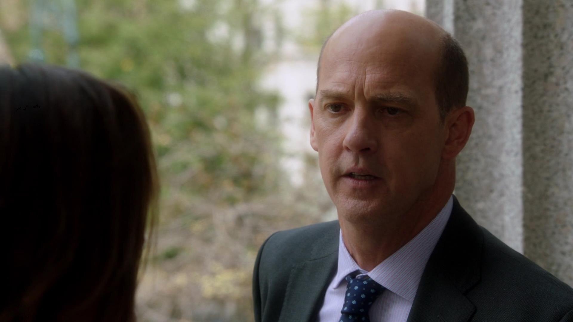 Law & Order: Special Victims Unit : Estupro Interrompido