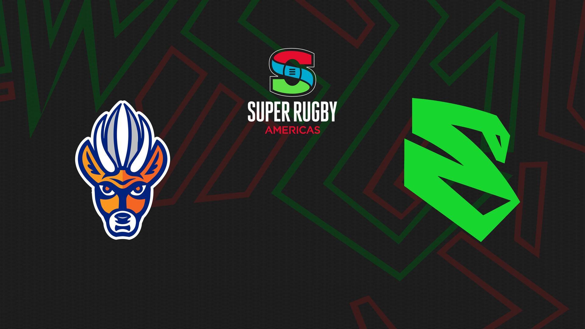 Tarucas x Cobras Brasil XV - Super Rugby Americas : Tarucas x Cobras Brasil XV