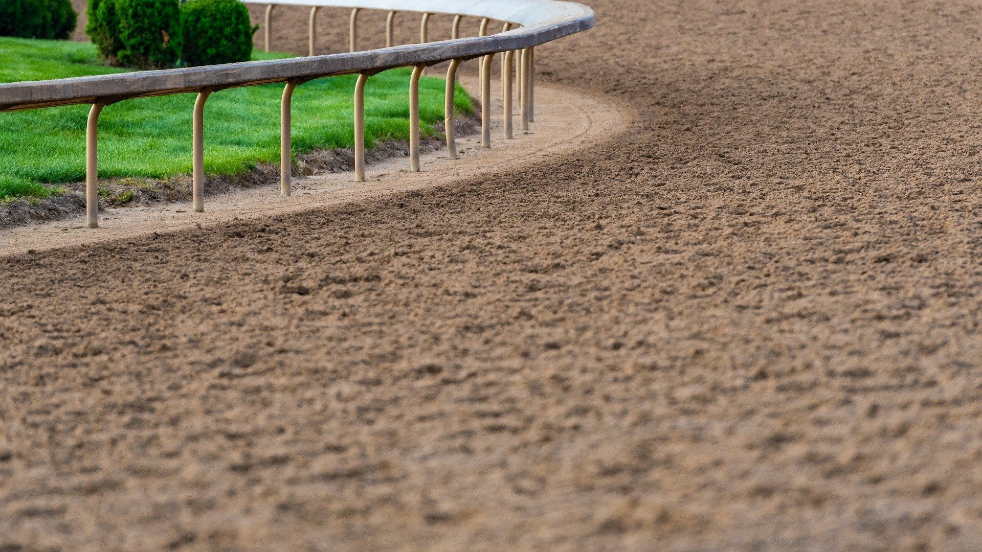 The Belmont Stakes