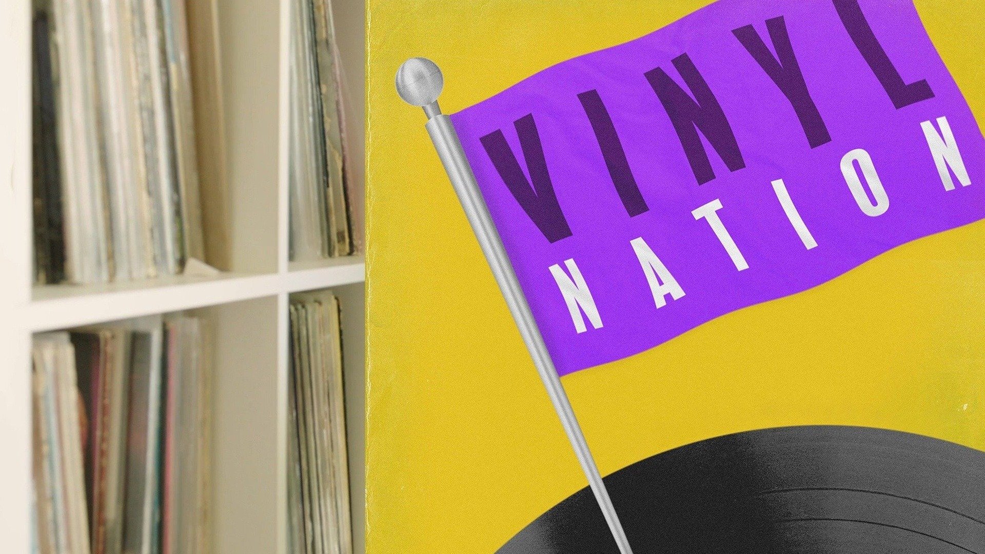 Vinyl Nation