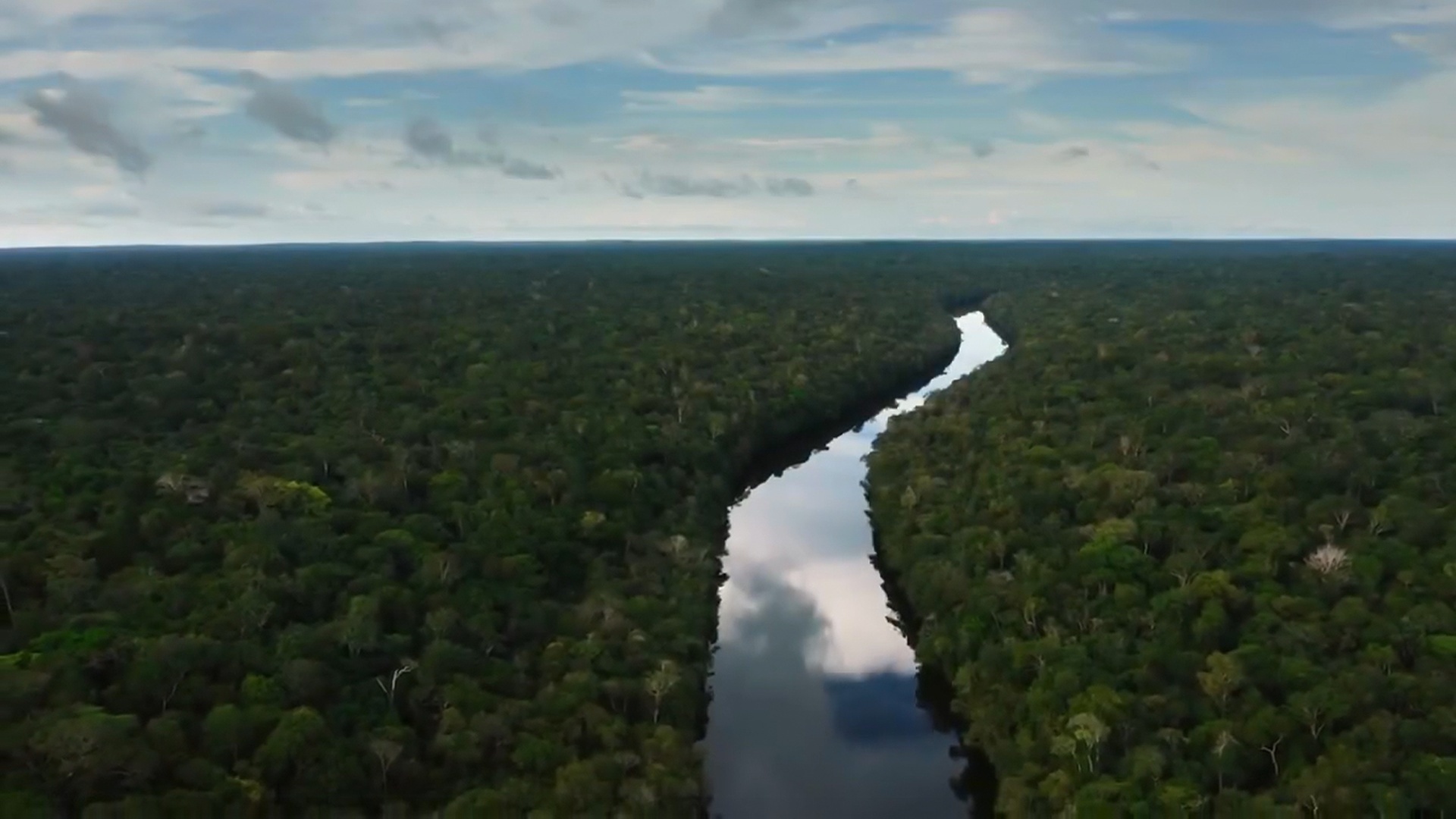 Amazônia, Arqueologia da Floresta : Terra Preta